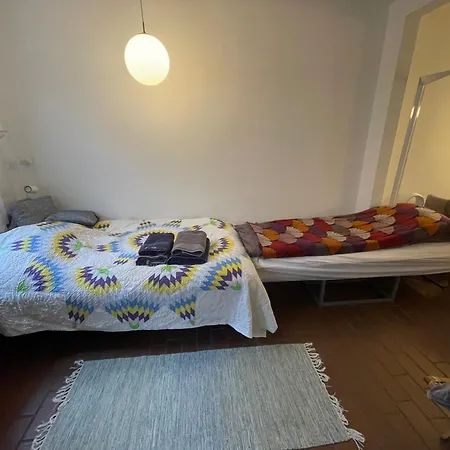 Cozy City-Centre Stay With A Sunny Garden Lägenhet